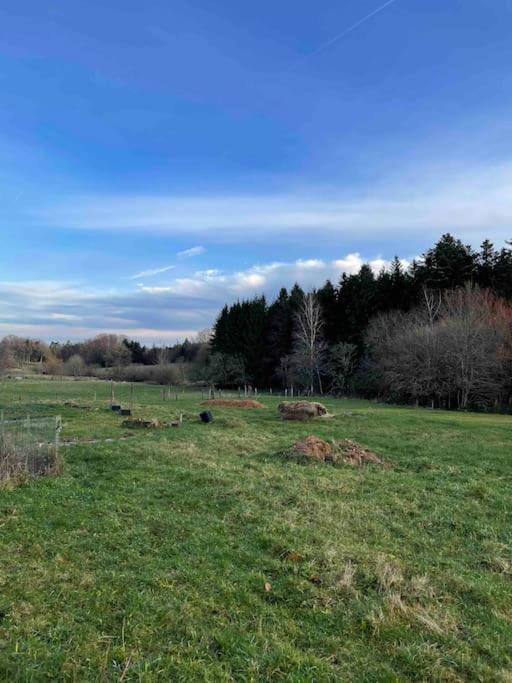 Le Petit Gite Nature Villa Hadol Exterior photo