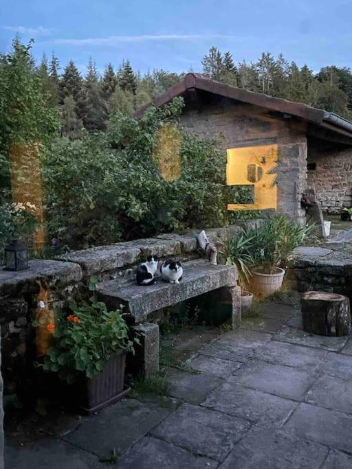 Le Petit Gite Nature Villa Hadol Exterior photo