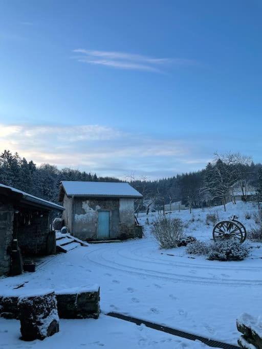 Le Petit Gite Nature Villa Hadol Exterior photo