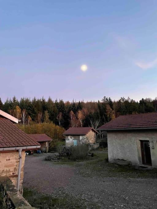 Le Petit Gite Nature Villa Hadol Exterior photo